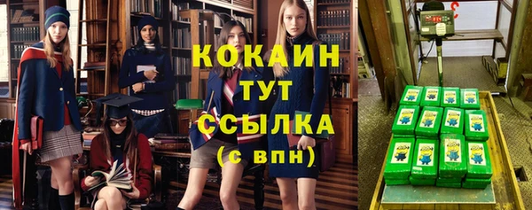 трава Балахна