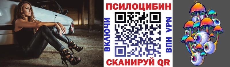 Псилоцибиновые грибы Cubensis  Абакан 